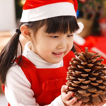 2 ks 12-14 cm veľké veľkosti prírodné Vianočné dekorácie veľké borovicové šišky