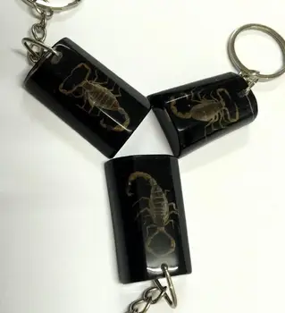 30 ks módne zlato scorpion šperky najnovšie veľké čierne štýl keychain